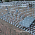 Large Animal Trap Cage humane live animal trap cage animal trap cage Supplier